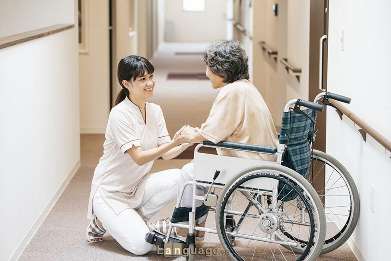 Ngành Điều dưỡng, hộ lý Ngành Điều dưỡng, hộ lý