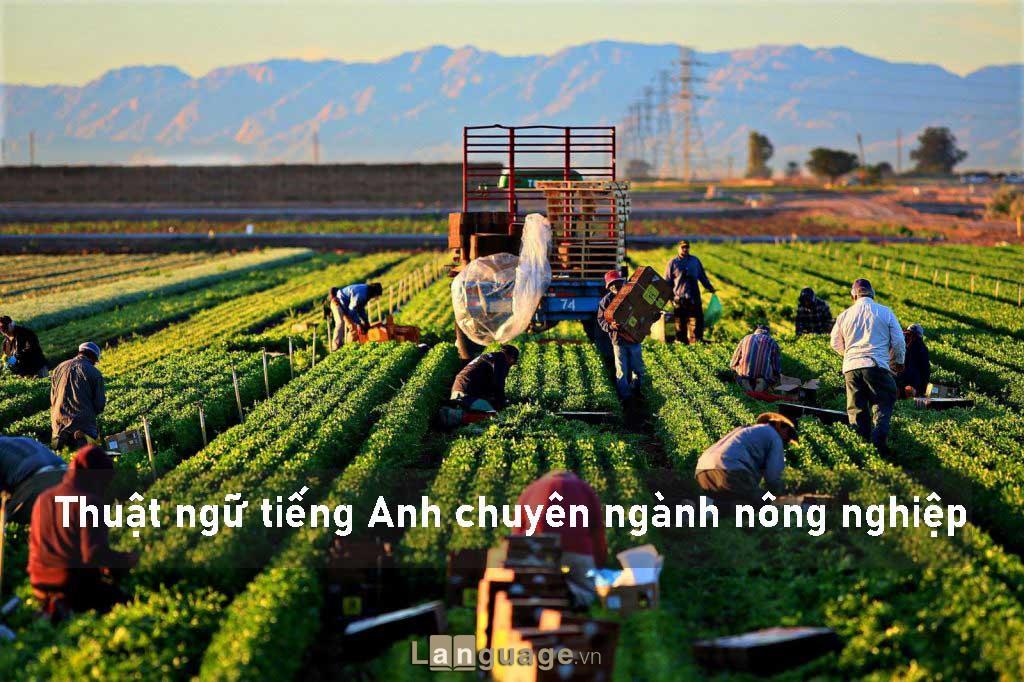 Thuật ngữ tiếng Anh chuyên ngành nông nghiệp Thuật ngữ tiếng Anh chuyên ngành nông nghiệp