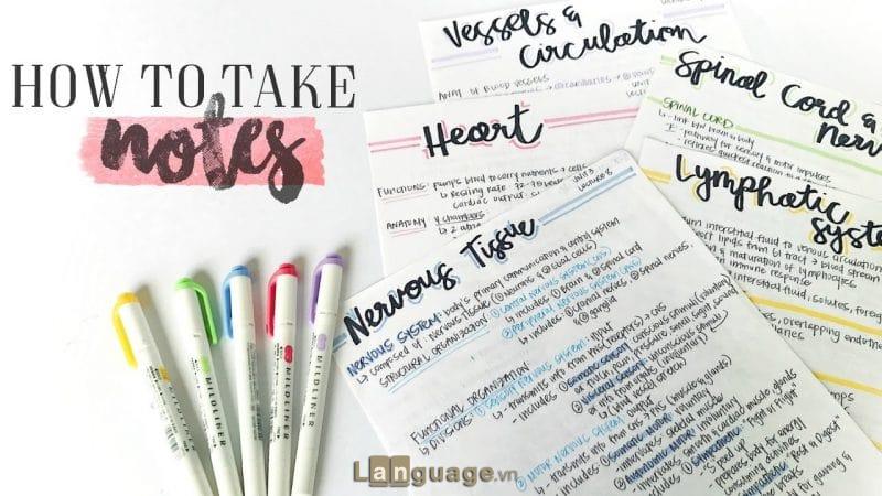 Ôn từ vựng tiếng Anh bắt đầu bằng chữ C