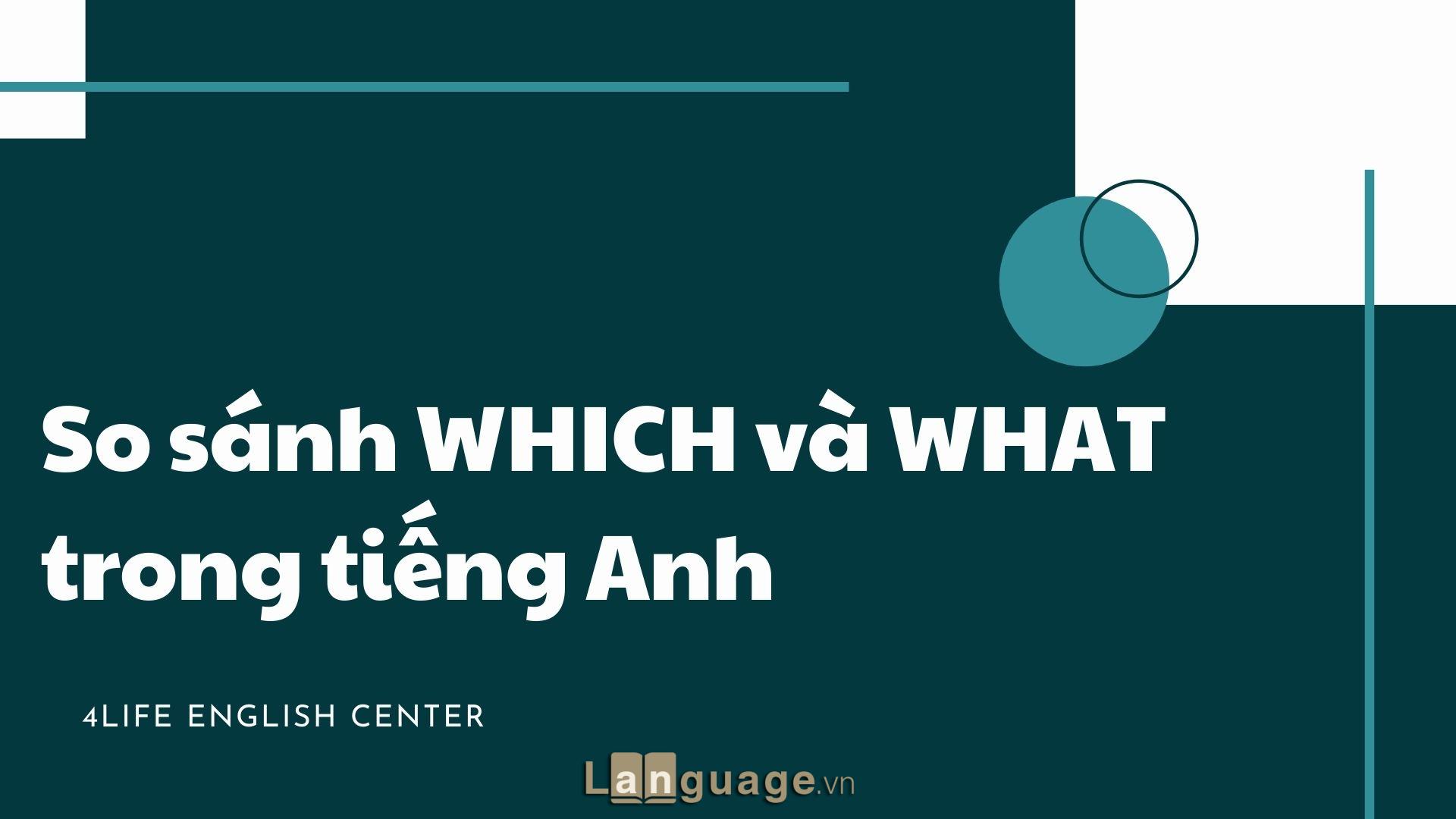 So sánh WHICH và WHAT trong tiếng Anh So sánh WHICH và WHAT trong tiếng Anh