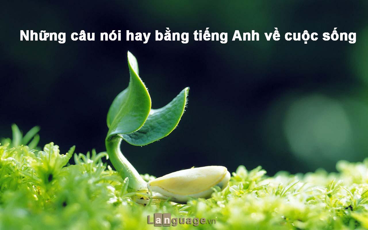 Những câu nói hay bằng tiếng Anh về cuộc sống Những câu nói hay bằng tiếng Anh về cuộc sống