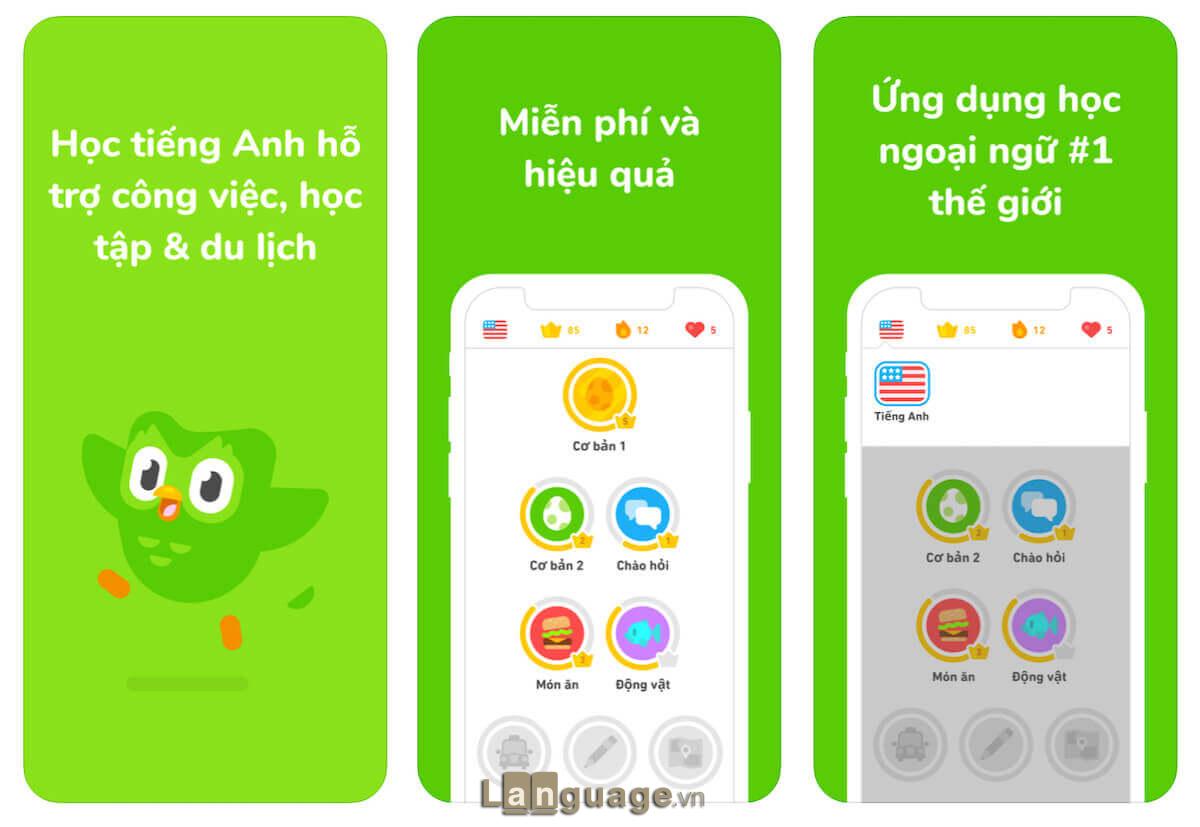 Duolingo - Ứng dụng tự học giao tiếp tiếng Anh miễn phí Duolingo - Ứng dụng tự học giao tiếp tiếng Anh miễn phí