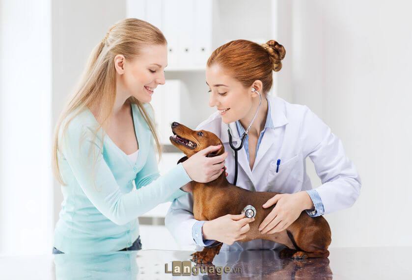 Mẫu câu giao tiếp tiếng Anh chuyên ngành thú y Mẫu câu giao tiếp tiếng Anh chuyên ngành thú y