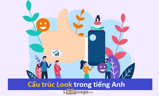 Cấu trúc Look Cấu trúc Look