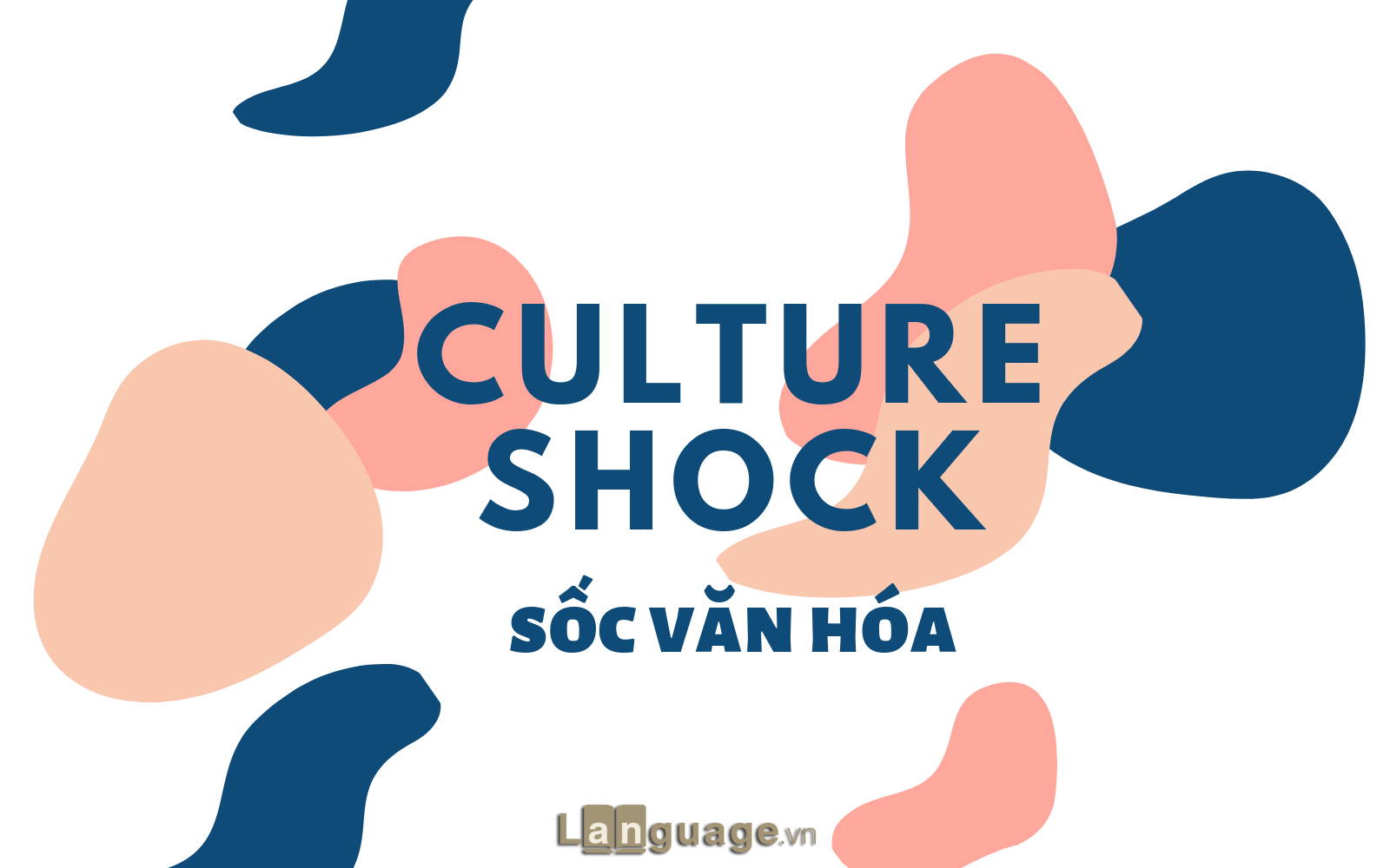 Những bất cập khi đi du học nước ngoài Những bất cập khi đi du học nước ngoài